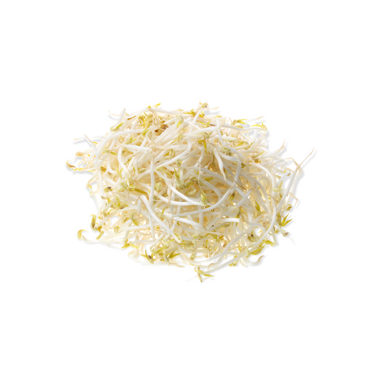 BEAN SPROUT