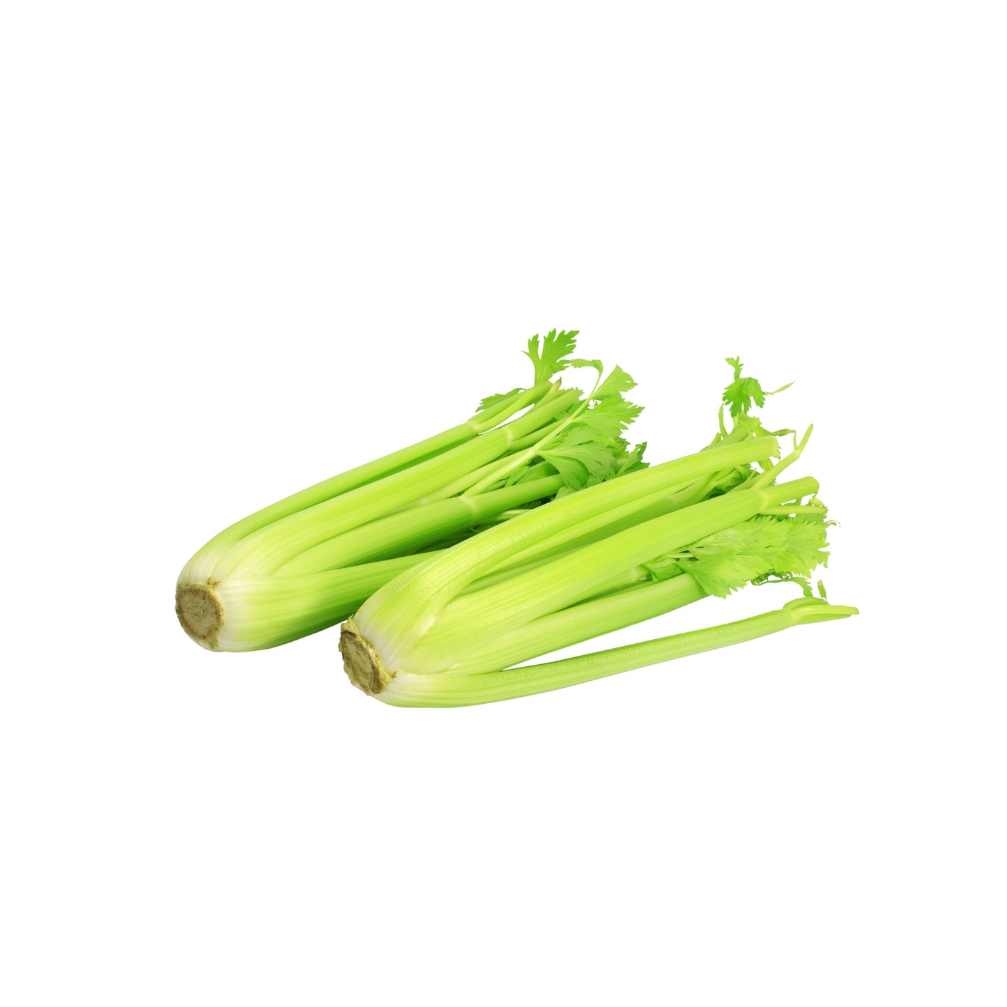 #11017 Celery