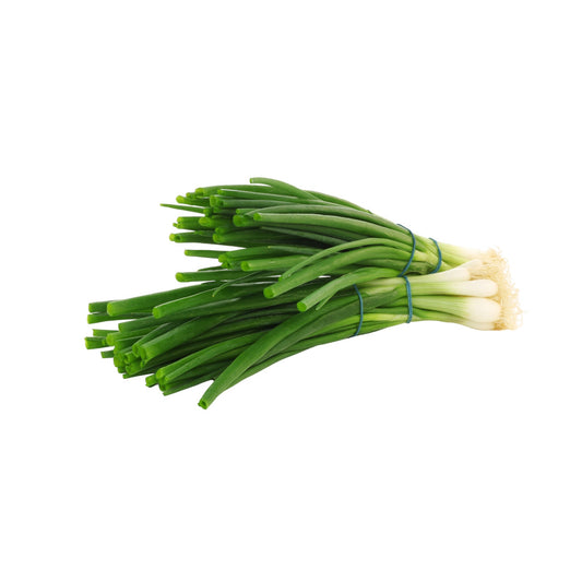 #11037 Green Onion