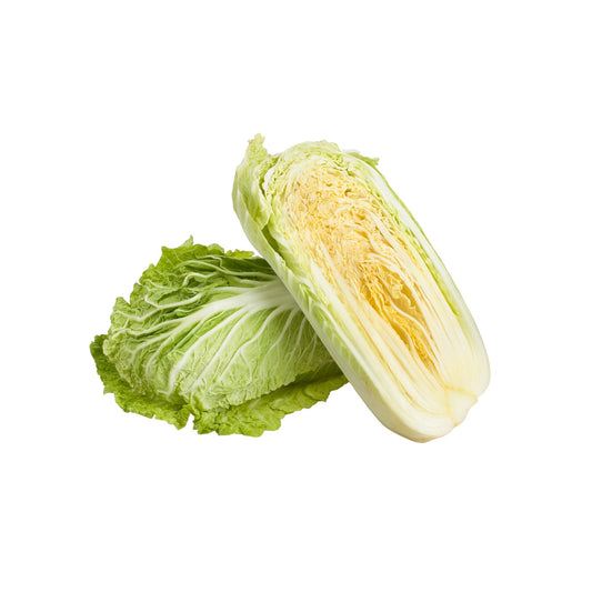 #11056 Napa cabbage