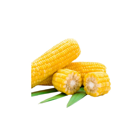 SWEET CORN COBB