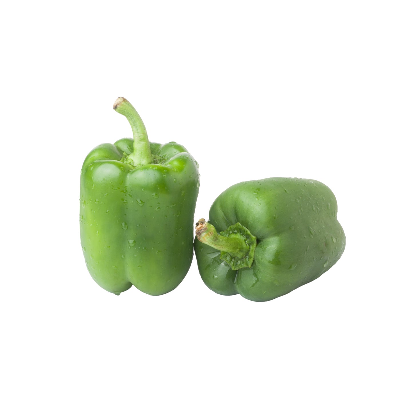 #11306 Green Bell Pepper