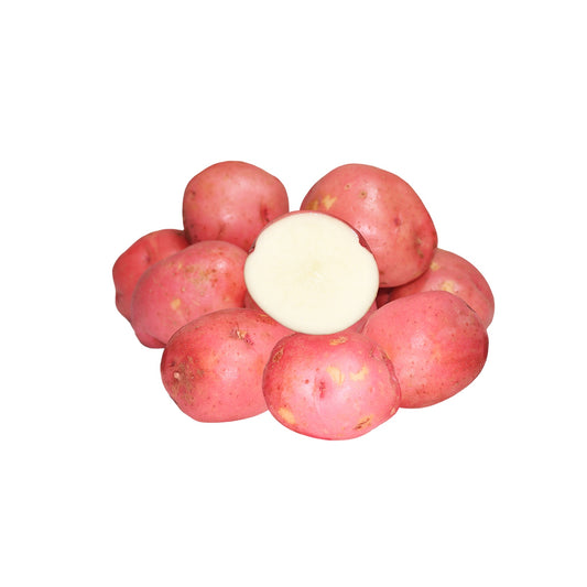 RED POTATO 50LBS